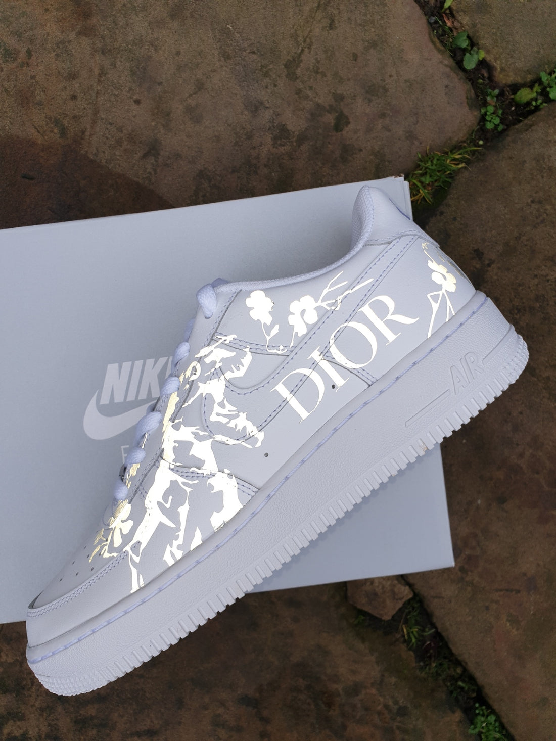 Reflective Dinosaur Custom